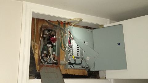 Rain and Ruin - IMG_20241229_115520061.jpg