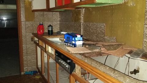 Rain and Ruin - IMG_20241229_115602289.jpg