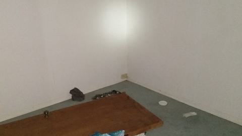 Rain and Ruin - IMG_20241229_115649602.jpg