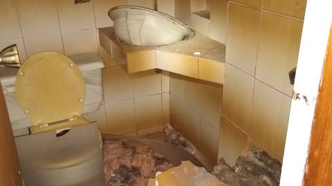 Rain and Ruin - IMG_20241229_115732709.jpg