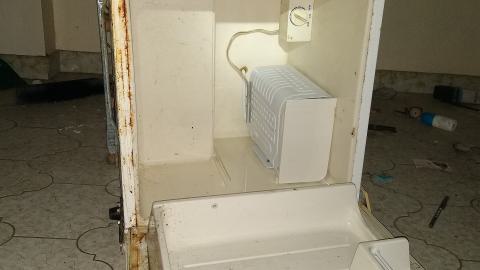 Rain and Ruin - IMG_20241229_120120798.jpg