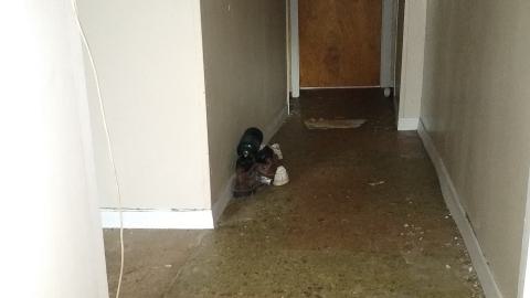 Rain and Ruin - IMG_20241229_120213056.jpg