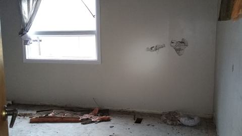 Rain and Ruin - IMG_20241229_120406798.jpg