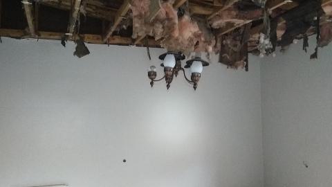 Rain and Ruin - IMG_20241229_120417160.jpg