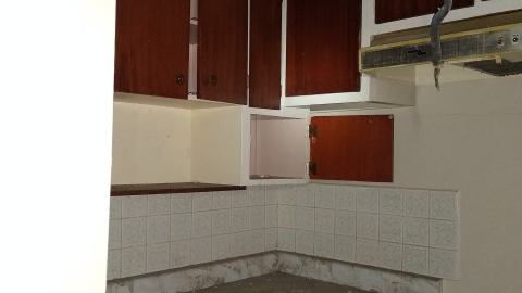 Rain and Ruin - IMG_20241229_120434369.jpg