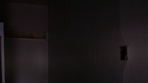 Rain and Ruin - IMG_20241229_120450477.jpg