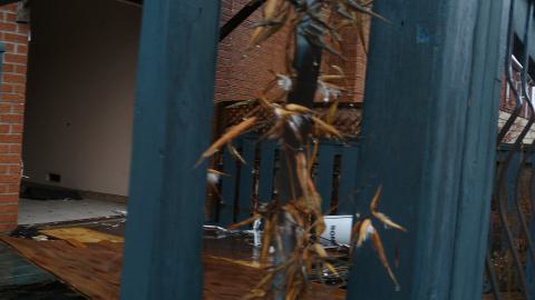 Rain and Ruin - IMG_20241229_120845198.jpg