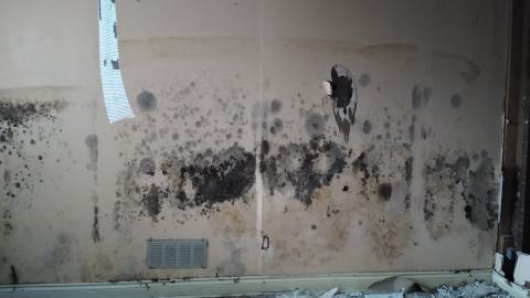 Rain and Ruin - IMG_20241229_120956057.jpg