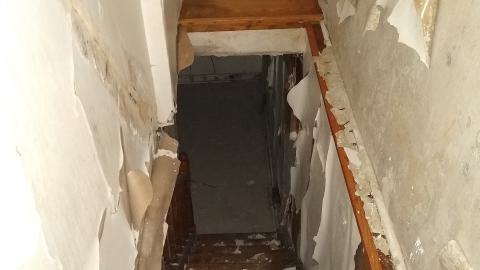 Rain and Ruin - IMG_20241229_121012170.jpg