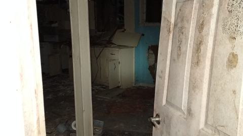 Rain and Ruin - IMG_20241229_121043857.jpg