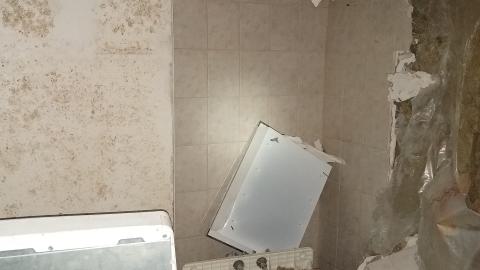 Rain and Ruin - IMG_20241229_121059393.jpg