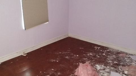 Rain and Ruin - IMG_20241229_121340719.jpg