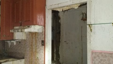 Rain and Ruin - IMG_20241229_121641968.jpg