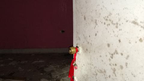 Rain and Ruin - IMG_20241229_121715619.jpg