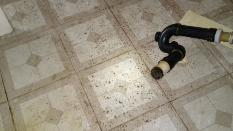 Rain and Ruin - IMG_20241229_121810410.jpg