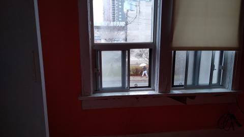 Rain and Ruin - IMG_20241229_121854166.jpg