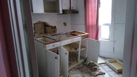 Rain and Ruin - IMG_20241229_121915017.jpg