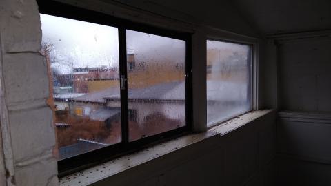 Rain and Ruin - IMG_20241229_122036148.jpg