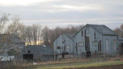 Back to Tobacco Road photo 5