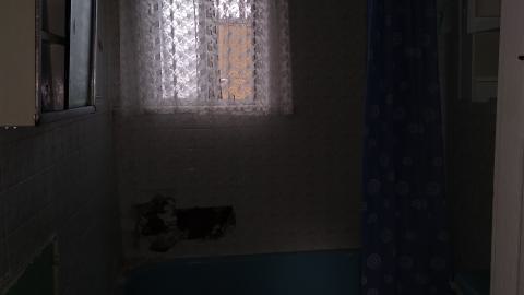 Rain and Ruin - IMG_20241229_122707730.jpg