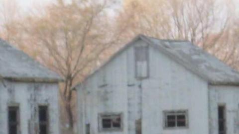 Back to Tobacco Road - Clarington, Ontario