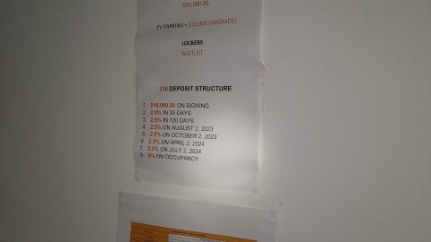 Rain and Ruin - IMG_20241229_123309035.jpg