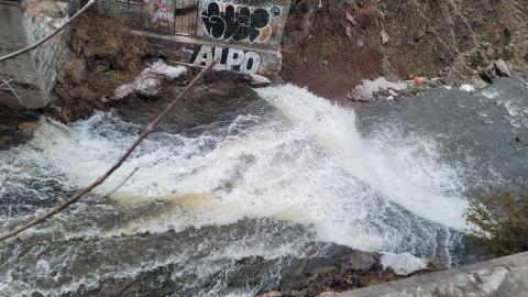 Almost The Whole Thing - 20241231_164015.jpg