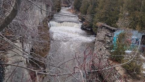 Almost The Whole Thing - 20241231_164010.jpg