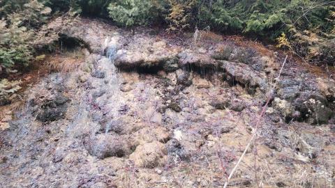 Almost The Whole Thing - 20241231_162936.jpg