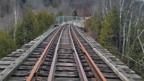 Almost The Whole Thing - 20241231_150847.jpg