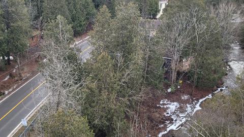 Almost The Whole Thing - 20241231_150839.jpg