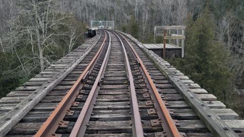 Almost The Whole Thing - 20241231_150837.jpg