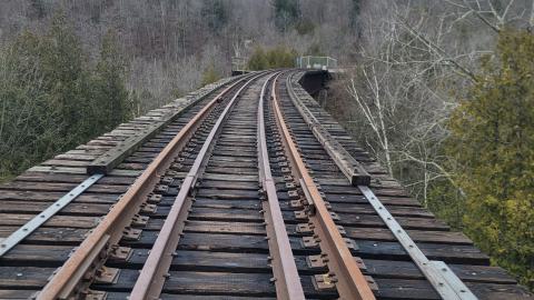 Almost The Whole Thing - 20241231_150621.jpg