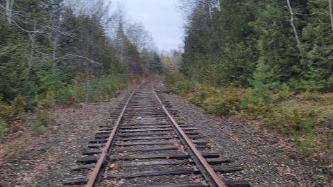 Almost The Whole Thing - 20241231_145913.jpg