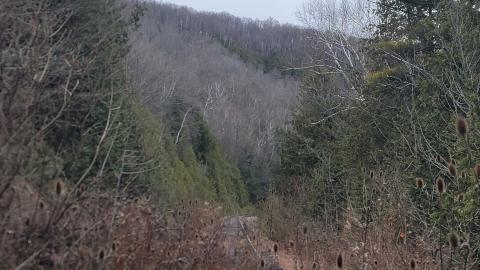 Almost The Whole Thing - 20241231_141448.jpg