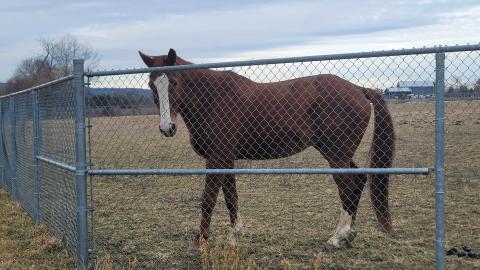 Almost The Whole Thing - 20241231_112839.jpg