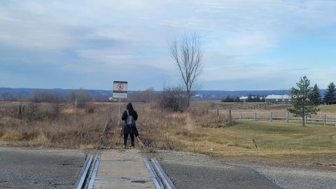 Almost The Whole Thing - 20241231_105037.jpg