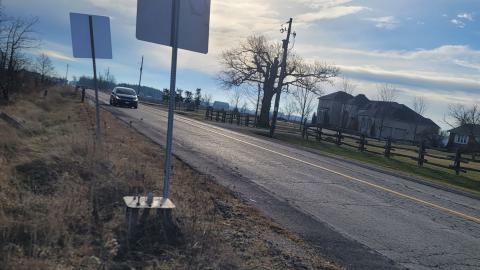 Almost The Whole Thing - 20241231_103337.jpg