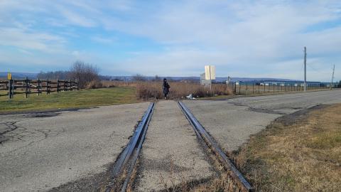 Almost The Whole Thing - 20241231_103335.jpg