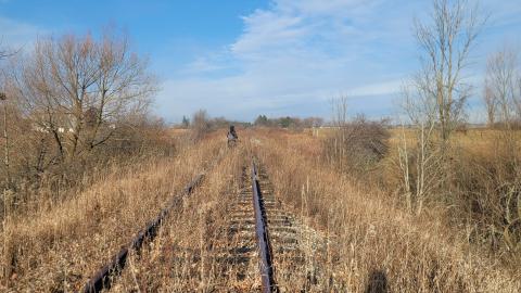 Almost The Whole Thing - 20241231_101238.jpg