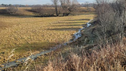 Almost The Whole Thing - 20241231_101232.jpg