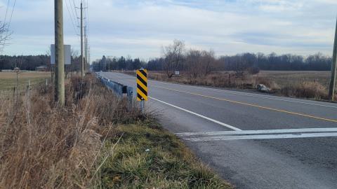 Almost The Whole Thing - 20241231_100142.jpg