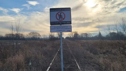 Almost The Whole Thing - 20241231_100127.jpg