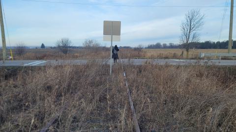 Almost The Whole Thing - 20241231_100111.jpg