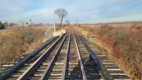 Almost The Whole Thing - 20241231_094406.jpg