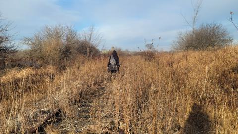 Almost The Whole Thing - 20241231_094134.jpg