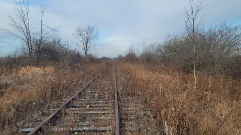 Almost The Whole Thing - 20241231_093338.jpg