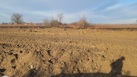 Almost The Whole Thing - 20241231_092558.jpg