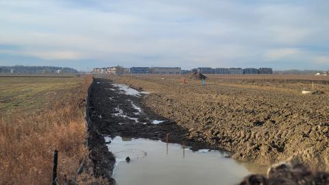 Almost The Whole Thing - 20241231_092555.jpg