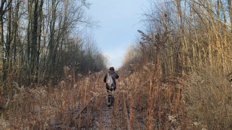 Almost The Whole Thing - 20241231_092146.jpg